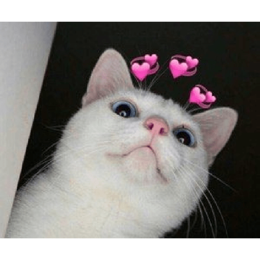Uwu 4