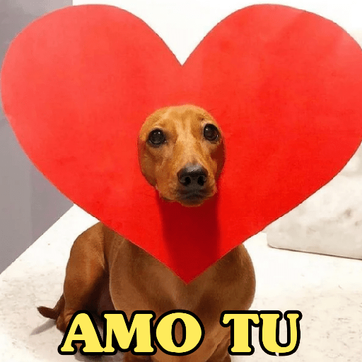 DIA DOS NAMORADOS 🥰 5