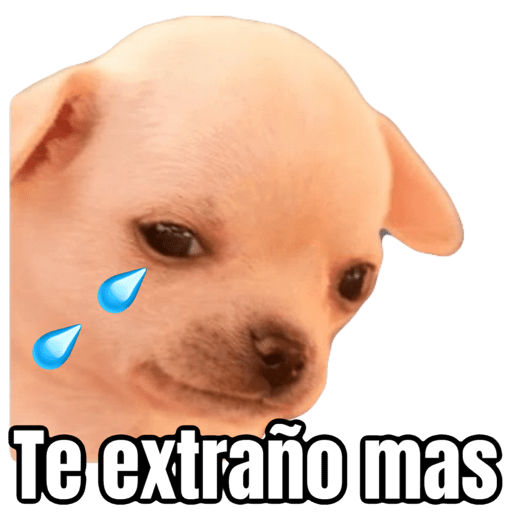 Perrito uwu 6