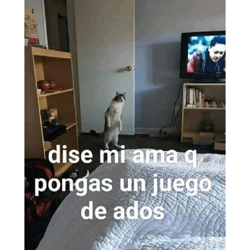 Me woha matar xdxd 15