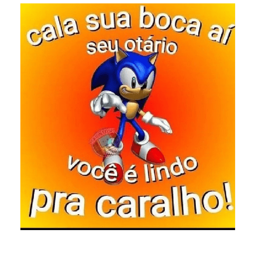 MC poze 17