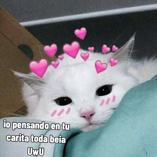 Uwu 12