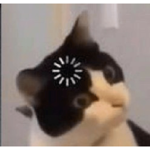 Sei lá 6