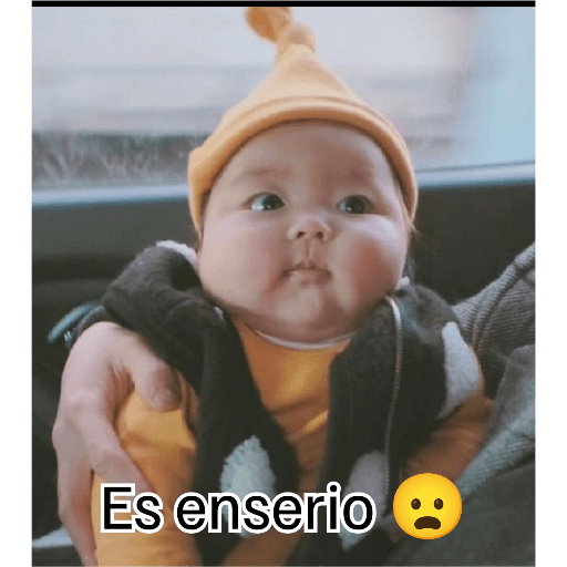 Lois 15