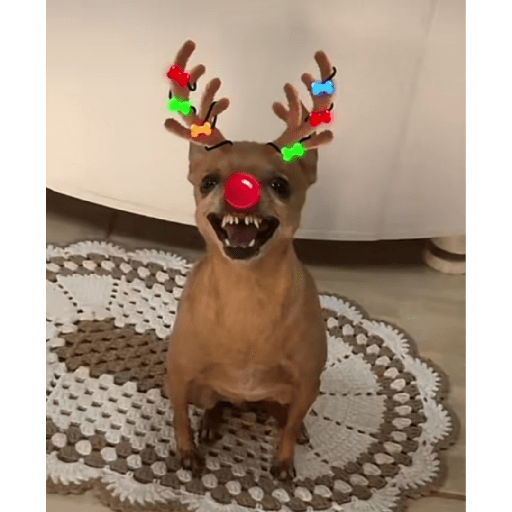 Amongus 22
