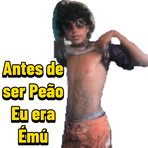 Minhas figurinhas 15