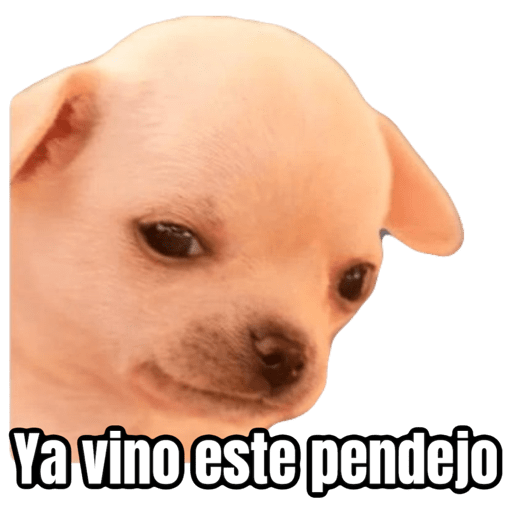 Perrito uwu 8