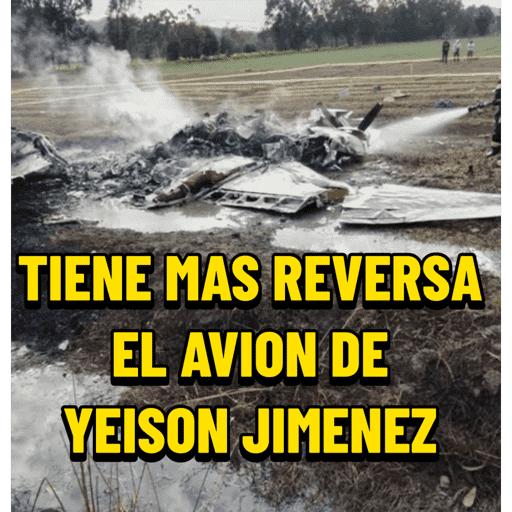 Rene 5