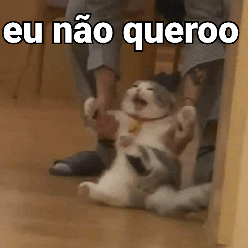 VOCÊ PRECISA DESSAS🤣👇 5