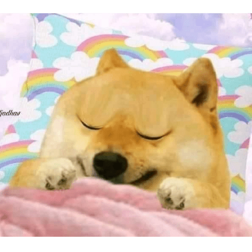 Doge hindi 3 3