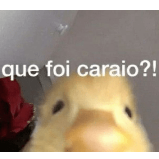 Pra zoar seus amigos  7
