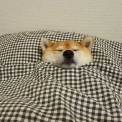 Doge hindi 3 2