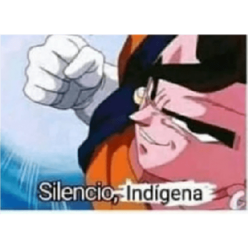 Silencio indígena 1