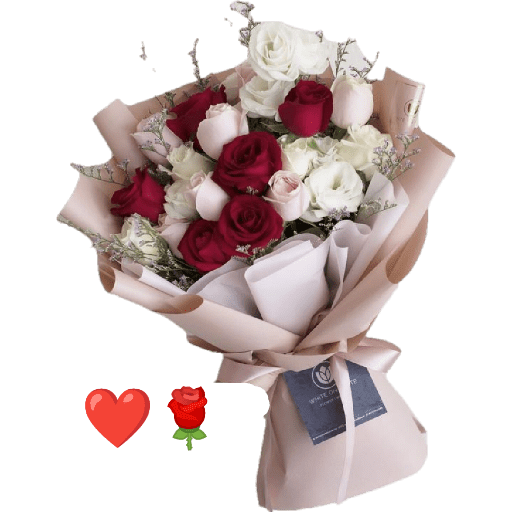 Hayom 🌹 20