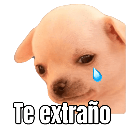 Perrito uwu 5