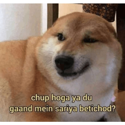 Doge hindi 3 7