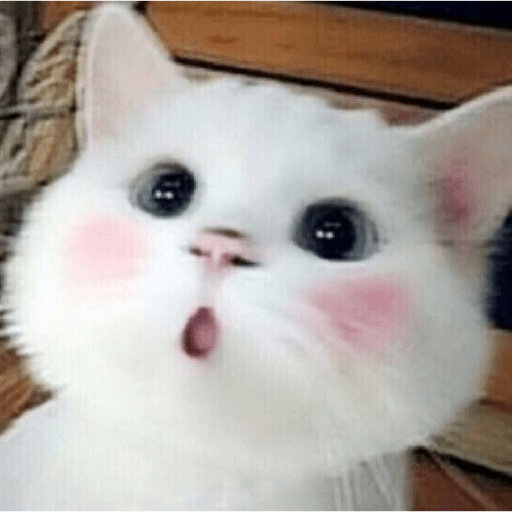 Uwu 7