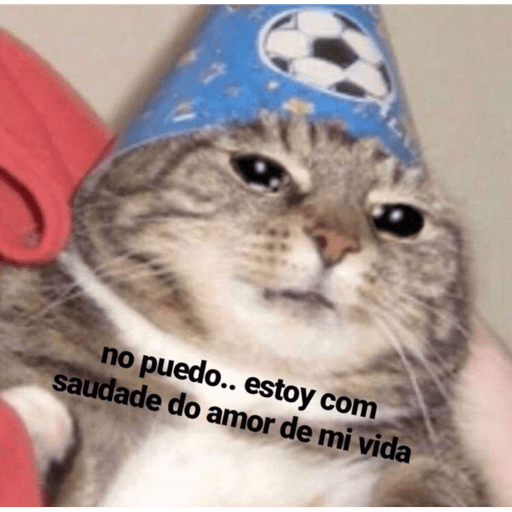 Flertezinho 12