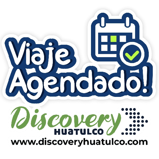 Discovery H frases 11