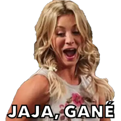 The Big bang theory 15