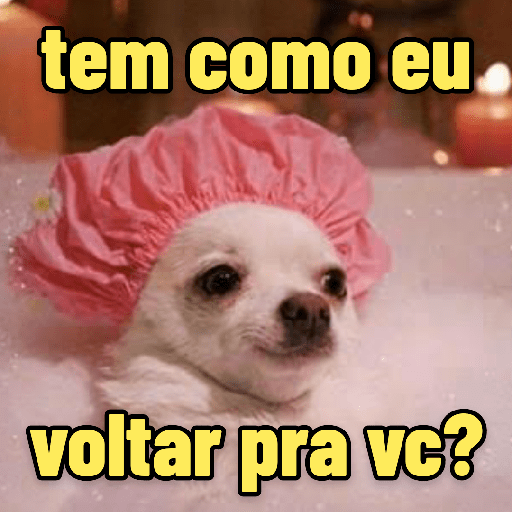 Calma, é meme 😂 13
