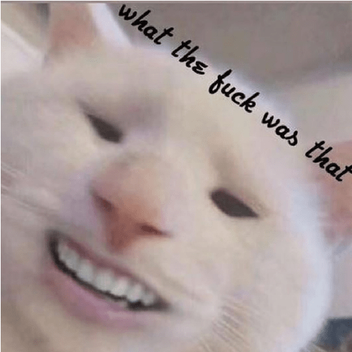 Shook and scared cats 28