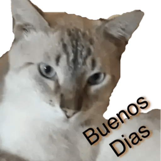 Gatos - Saludos 8