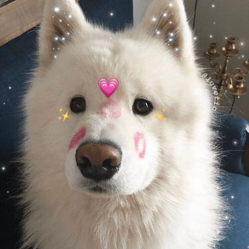 Uwu 2