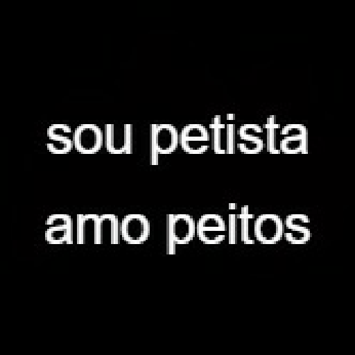 Sou petista 1