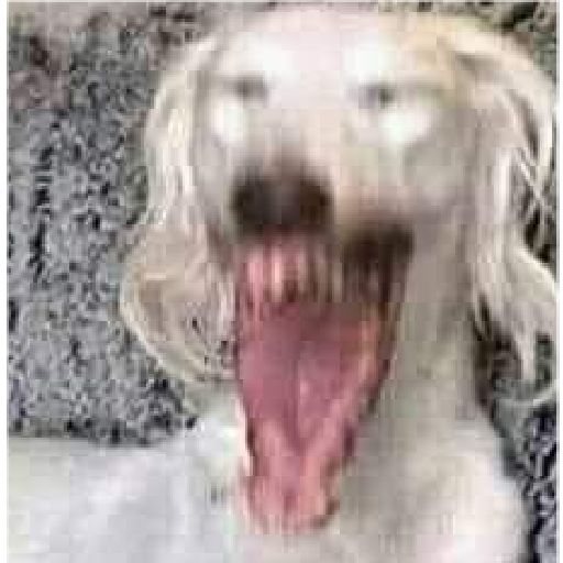 Vitorrrrr 7