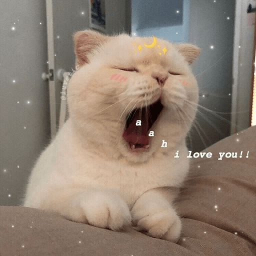 Uwu 3