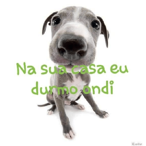 Hahahahahahahaahahaha 4