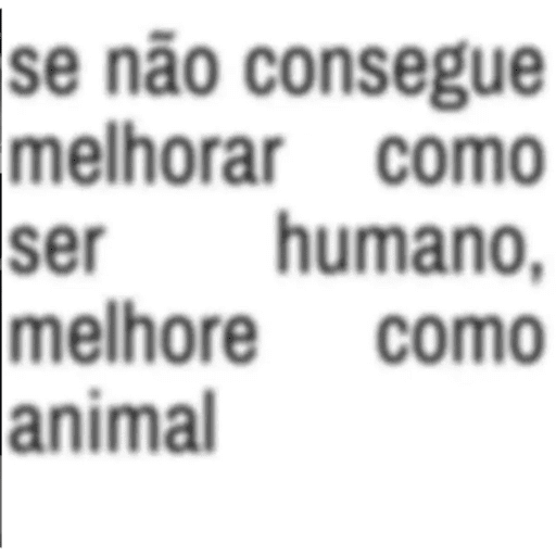 Frases 4