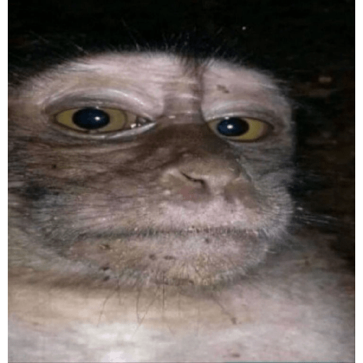 Amongus 28