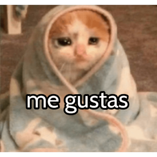 Graciosos🤣 25