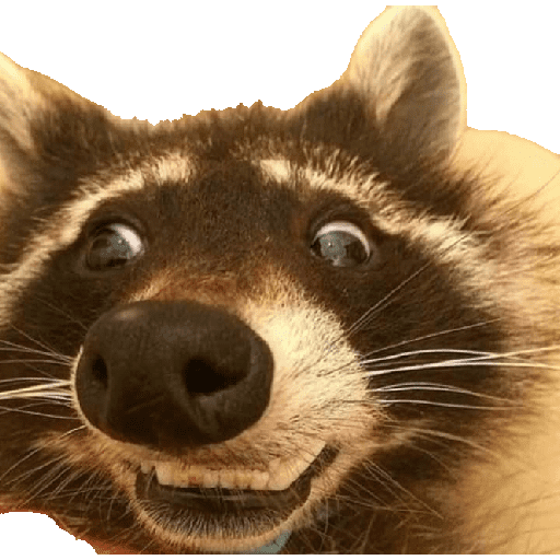 Animais 13