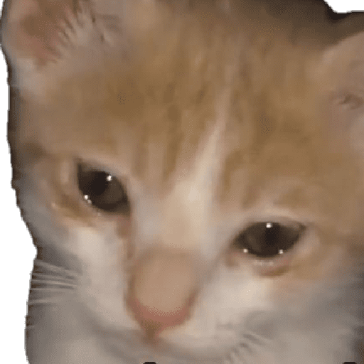 Gatitos 18