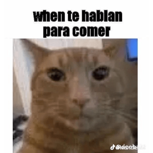 Waos 😯 19