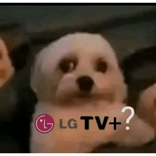 Para o meu amigo da lancha  11