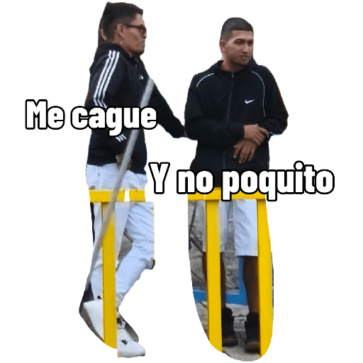 Xdd 12