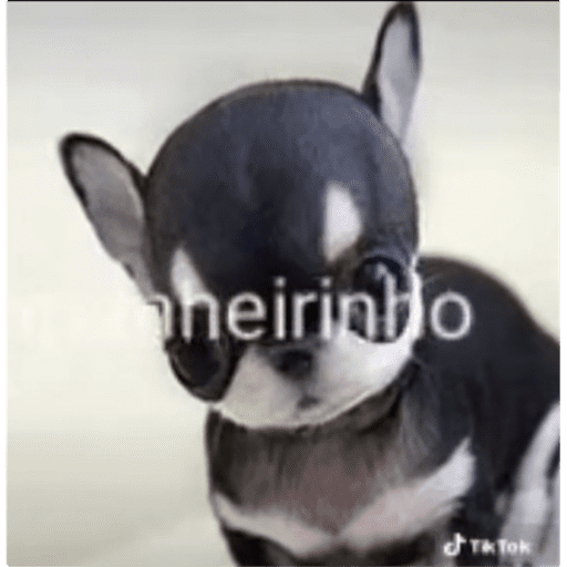Hello 6