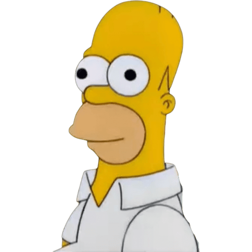 Homer 1