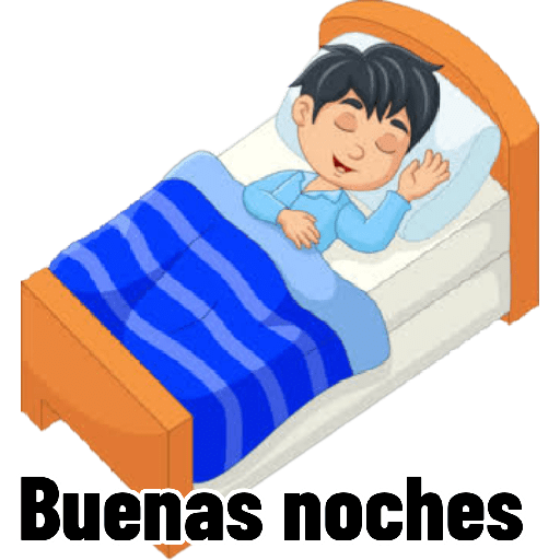 B noches bebo 23