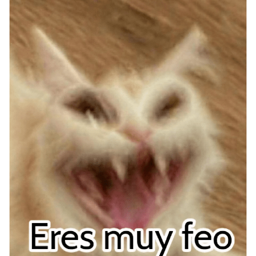 Graciosos🤣 20