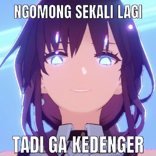 Meme honkai star rail 30