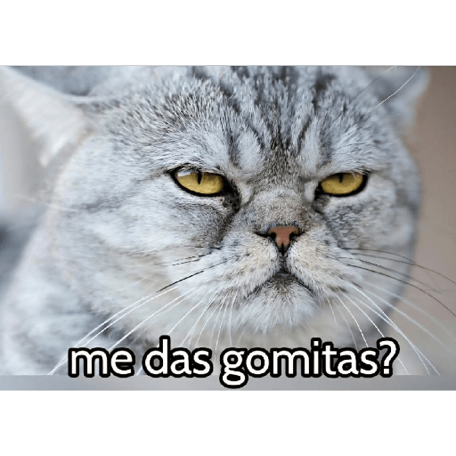 Graciosos🤣 27