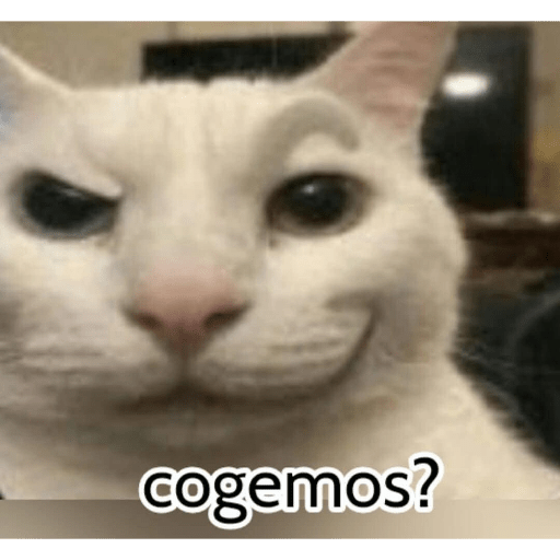 Graciosos🤣 19