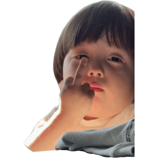Memes 1.0 9