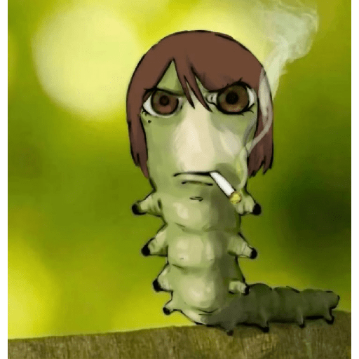 Graciosos🤣 12