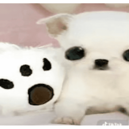 Hello 1